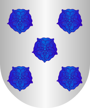ESCUDO ALEATORIO